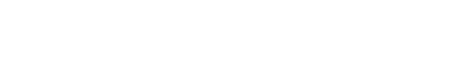 Twin Eagle Logo